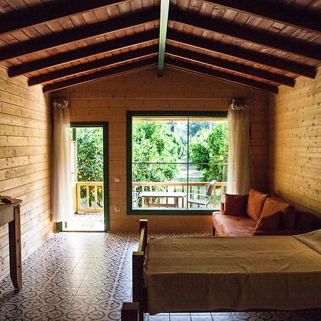 Ekinoks Hotel - Adults Only Çıralı Kamer foto