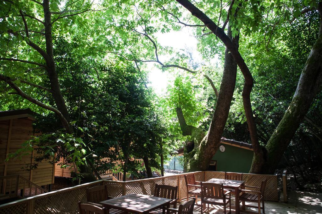 Ekinoks Hotel - Adults Only Çıralı Buitenkant foto